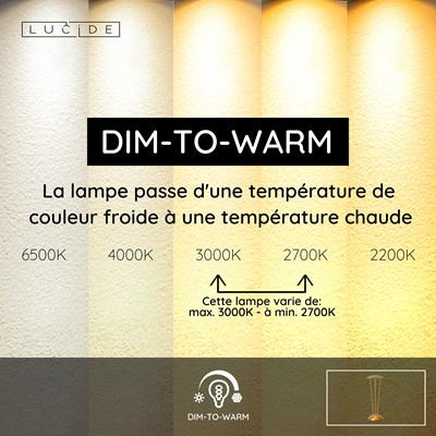 Lucide RENEE - Lampe de table Rechargeable Intérieur/Extérieur - Batterie/Piles - Ø 12,3 cm - LED Dim to warm - 1x2,2W 2700K/3000K - IP54 - Avec station de charge sans fil - Or Mat / Laiton